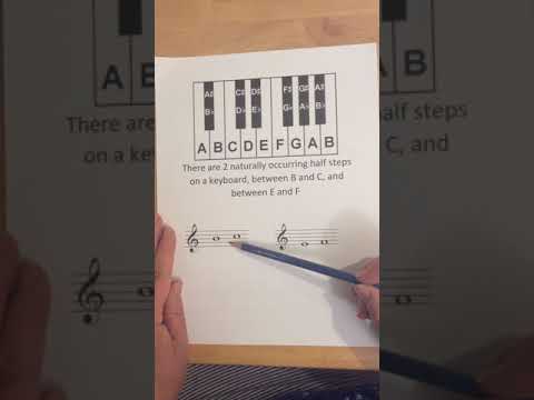 How to identify half steps and whole steps