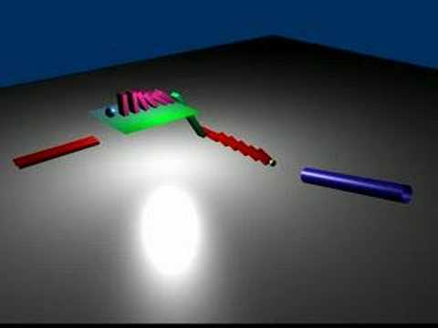 First animation blender 20/05/2007