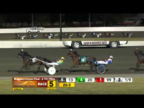 Breeders Crown 2YO Filly Pace Final - Jk She'salady - November 22, 2014