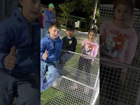 ENCENDIDO DEL ARBOL DE NAVIDAD EN HERMOSO CAMPO CHACO