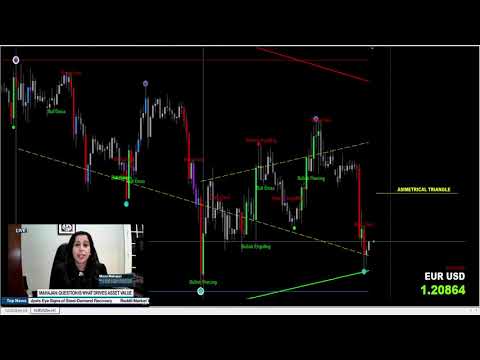 Video Sentinel Platinum Ultimate Architecture