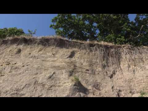 Frieda, ihre Abenteuer & Begegnungen in Juelsminde und die Reise bis zur Landspitze