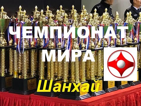The World karate championship IKO Matsushima (Shanghai)