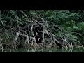 Donatan Cleo - Sztorm Donatan Cleo - Sztorm