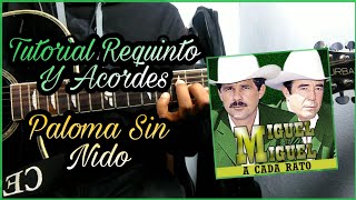 Paloma Sin Nido - Miguel Y Miguel | Tutorial de Guitarra (Requinto Y Acordes)