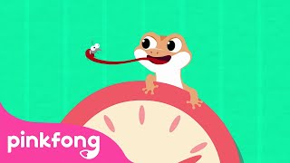 Cicak the Lizard Song  Indonesian Childrens Songs 