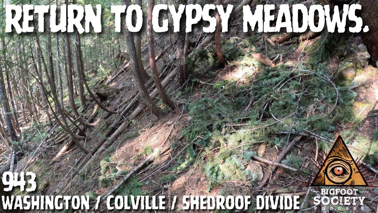 Sasquatch is Watching at Gypsy Meadows! | Washington