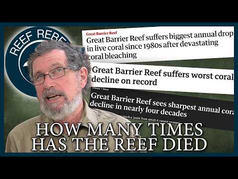 Latest 2025 Great Barrier Reef coral data. How bad is it really?