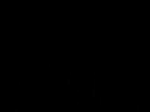 1-nevi - Sensin 2008