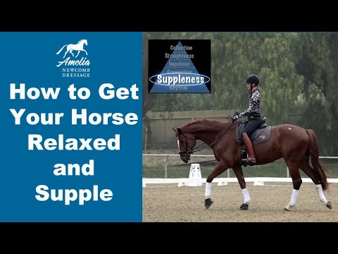 Is your horse relaxed and supple?