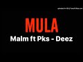 MALM MARTIORA Feat PKS DEEZ MULA