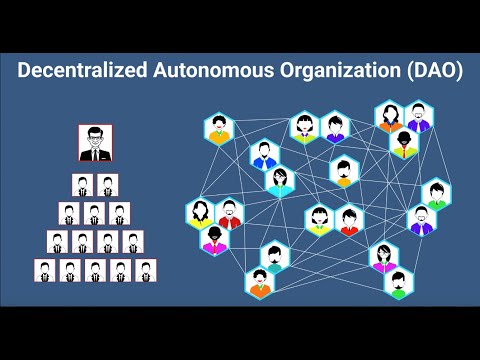 Everything You Wanted To Know About DAOs But Didn’t Care Enough To Ask