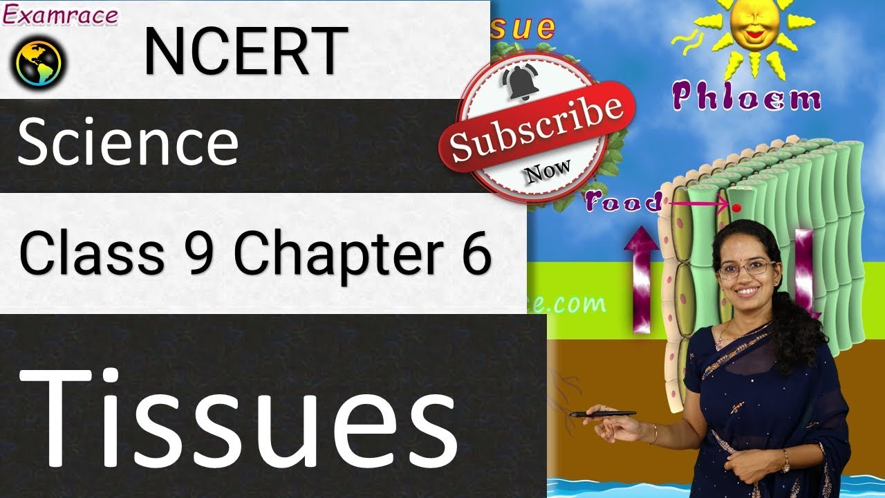 NCERT Class 9 Science Chapter 6: Tissues | CBSE | IBO | NTSE | NSTSE | NSO | Olympiad