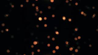 4K Bokeh Background Video Effect || No Copyright || No Watermark