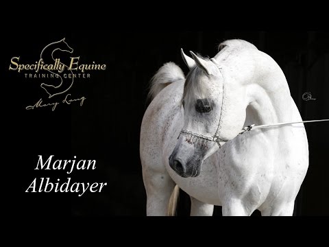 Marjan Albidayer - Specifically Equine TC