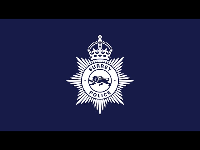 Surrey Police Statement