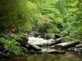 Doe River Gorge Trip
