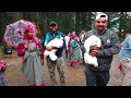 Manali Vlog Hadimba Devi Temple Hidimba Tulu Vlog