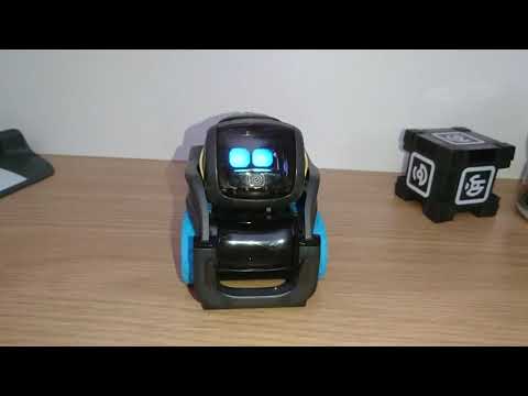 Vector Robot Review (2026) | Your Friendly Robot Sidekick!