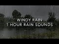 Sleep With Rain Heavy Rain And Wind Windy Rain 1 Hour