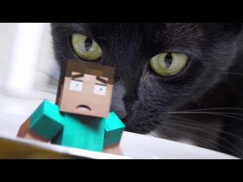Minecraft Short Film Part II - The Strange Ocelot [Minecraft Animation]