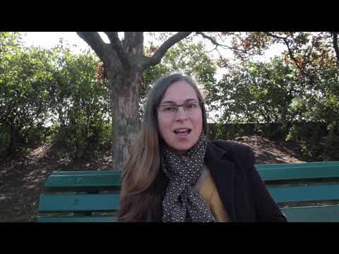 Hudební salón Café crème - jubilejní ročník