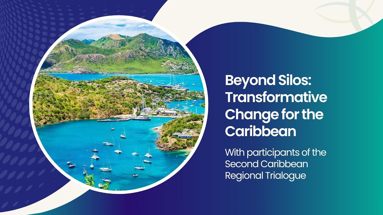 Beyond Silos: Transformative Change for the Caribbean
