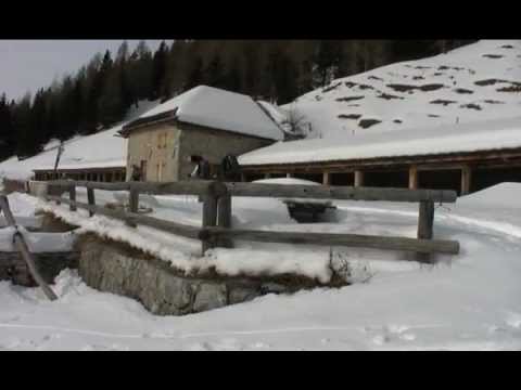 Escursione alla Casera Monte dei Buoi - SentieriNatura - Documentari invernali 2010 - 07