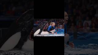 Download lagu RIP Jessica Jessica orcas 😭💔💔🥺.#ai #jessica #orcas #jessicasoho #viral #trending mp3