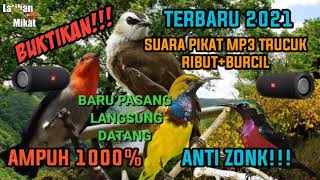 Download lagu SUARA PIKAT BURUNG TRUCUK KOMBINASI BURCIL/AMPUH 100% ANTI ZONK/TERBARU 2021 Auto panen mp3 Download lagu SUARA PIKAT BURUNG TRUCUK KOMBINASI BURCIL/AMPUH 100% ANTI ZONK/TERBARU 2021 Auto panen mp3