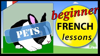 Pets in French | Beginner French Lessons for Children