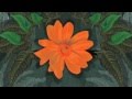 It All Feels Right by Washed Out