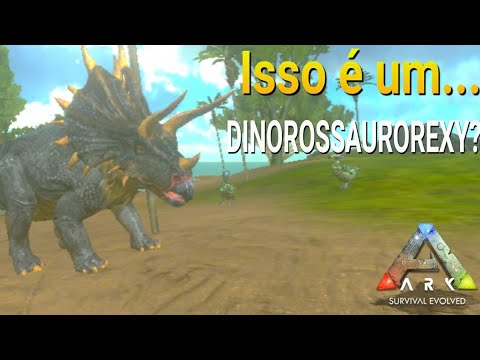 NOVA SÉRIE !!! DICAS PARA INICIANTES