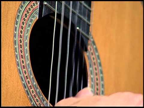 The Living Room 8 - Guitarist Peter Fletcher - Santa Monica CityTV