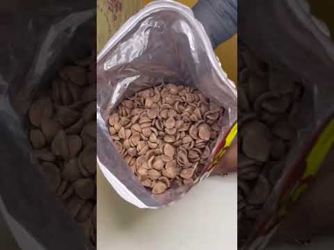 CHOCOS 😍 Super Pack #viralshorts #youtubeshorts #shorts #chocos #asmr #review #ytshorts #ashortaday