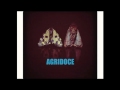 Agridoce - O Porto 