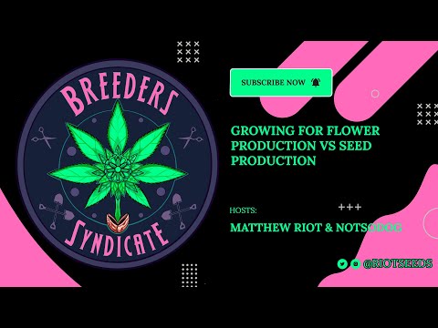 Breeders Syndicate - Growing /  Feeding for Seed Prod. vs Flower - 04-29-22 - Riot Seeds & Notsodog