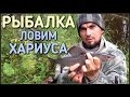 Способы ловли хариус