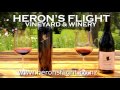 Herons Flight