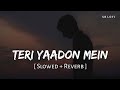 Teri Yaadon Mein Khoya Rehta Hoon Slowed Reverb KK Shreya Ghoshal The Killer SR Lofi