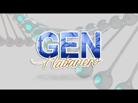 Gen Habanero 30/01/2026 ( Casa de la Cultura de 10 de Octubre)