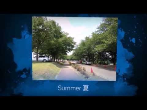 Introducing NUT video created by our international students