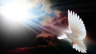 &quot;More Of You&quot; Lyrics - Colton Dixon