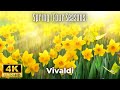 4K Nature Relaxation Film Vivaldi Spring Four Seasons