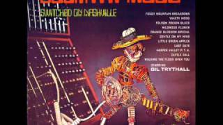 Folsom Prison Blues - Gil Trythall (1970) Moog Synthesizer