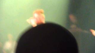 keen'v -j'sais pas danser -zenith rouen