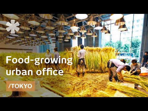 download lagu mp3 mp4 Farm To Office, download lagu Farm To Office gratis, unduh video klip Farm To Office