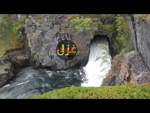 Dard me aswele ka bya kaze noza