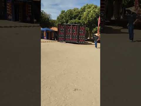 caminhão viúva negra Mendonça car show