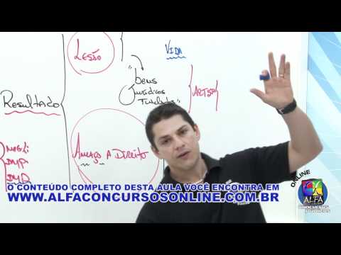 Evandro Guedes - Criminal Law (General Part)